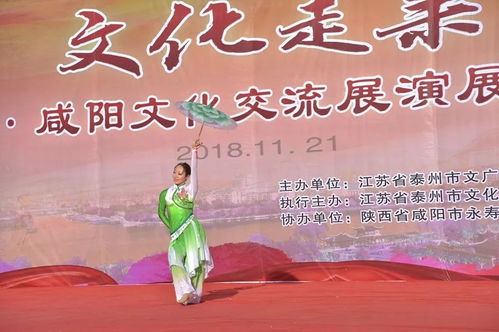 心连秦吴 艺通古今——泰州文化志愿者赴咸阳开展文化艺术交流活动策划书